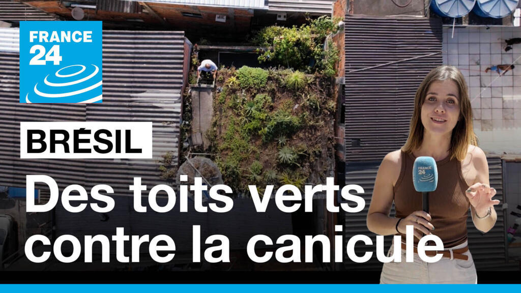 Au Brésil, des toits verts dans les favelas pour contrer la canicule